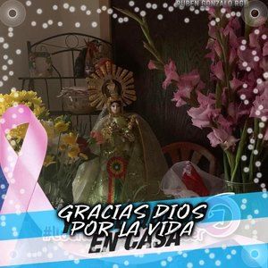 Meet your Posher, Mabel